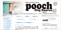 Pooch Dog Rescue公式ブログ
