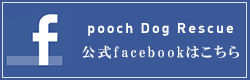 poochDogRescue公式facebook