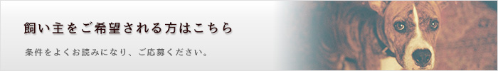 新しい飼い主をご希望の方はこちら