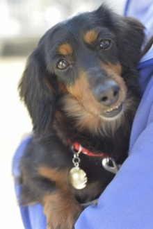 ルーシーちゃん