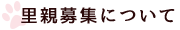 里親募集について