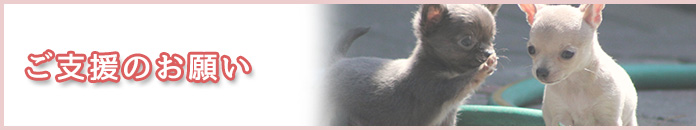 ご支援のお願い