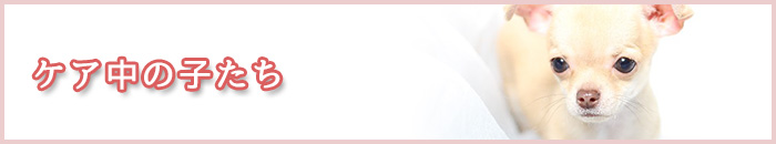 ケア中の子たち
