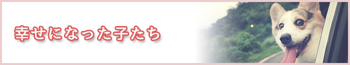 幸せになった子たち