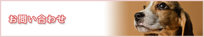 お問い合わせ