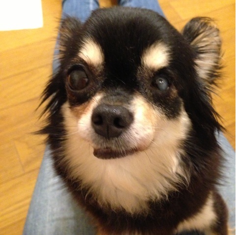 アシュレーちゃん