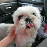 きららっちちゃん