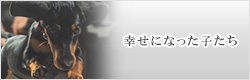 幸せになった子たち